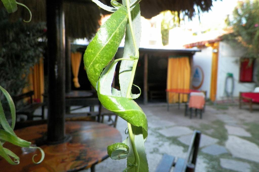 Hostel Mendoza Inn Bagian luar foto